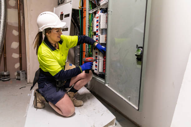 Best Electrical Troubleshooting Services  in Lexington, MI