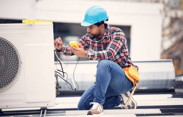 Best Affordable Electrician  in Lexington, MI