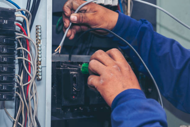 Best Electrical Repair Services  in Lexington, MI