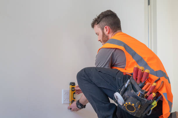 Best Generator Installation Services  in Lexington, MI